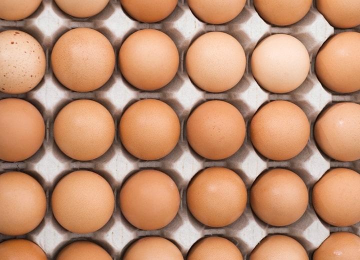 bright brown eggs