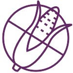 no-hfcs-icon-purple